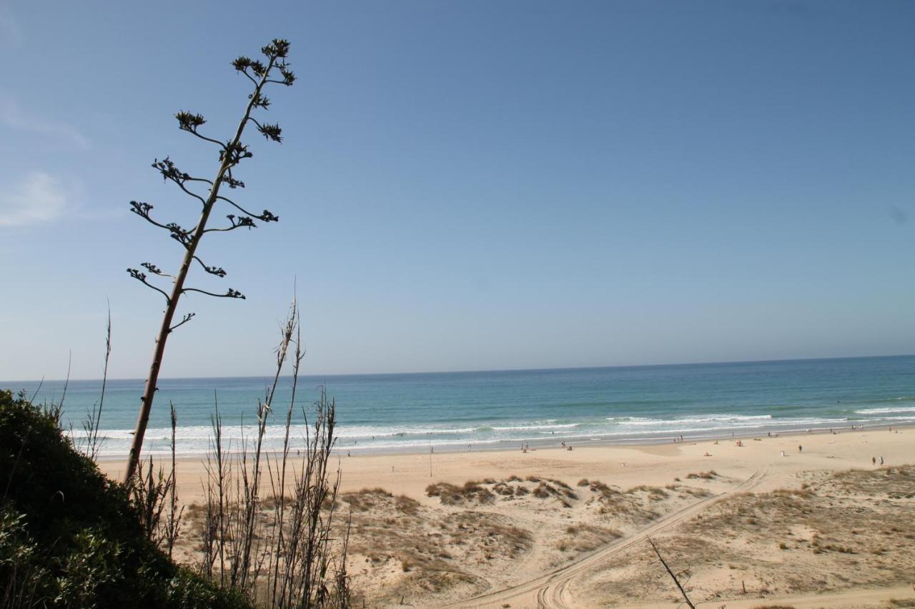 Apartamento Canaveral Playa Conil Conil De La Frontera Eksteriør bilde